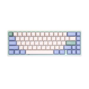 바밀로 미니로 Minilo65 기계식 키보드 67키 듀얼 유칼립투스, 무접점 아이비축 V2