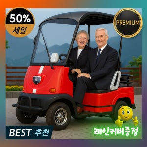 아트테크 지붕형 캐노피 4륜2인용 전동스쿠터 전기스쿠터 장애인노인전동스쿠터 효도선물미니버스