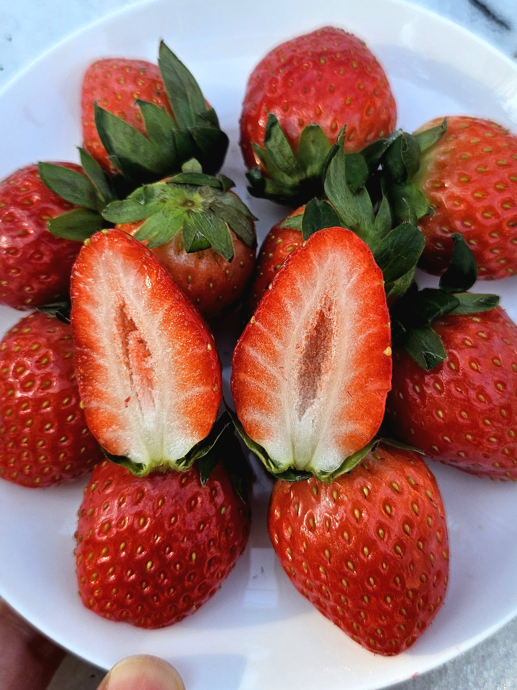 25년 겨울 당도측정 고당도 딸기 생딸기 설향 킹스베리 당일수확 산지직송