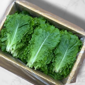 국내산 청로메인 로메인상추 2kg 산지직송 샐러드 쌈채소 유럽샐러드용