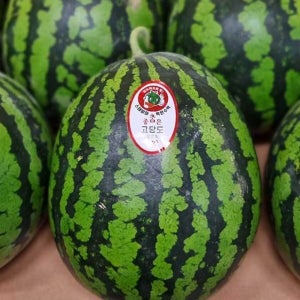 국내산 수분 가득 과즙과 아삭한 식감 고당도 정품 수박 5kg