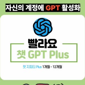 (즉시배송)챗지피티 플러스 Chat GPT Plus 12개월 구독 개인 사용