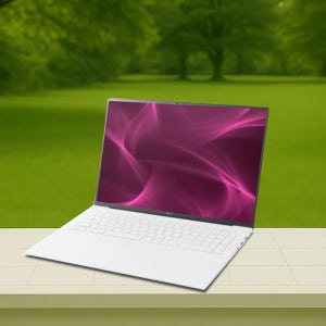 LG 15Z80T-GS5CK / AMD CPU 라이젠5-340 PD충전 16GB, 1TB