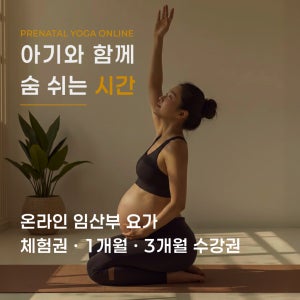 루트인 요가 임산부 수업 수강권 초보 온라인 줌 요가 임신 임산부 산전 육아 홈트 운동