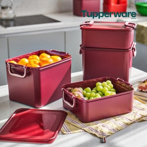 타파웨어 김장 대용량 김치통세트 4개