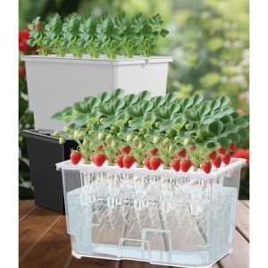 MMC 식물 수경재배 키트 가정용 식물 재배기