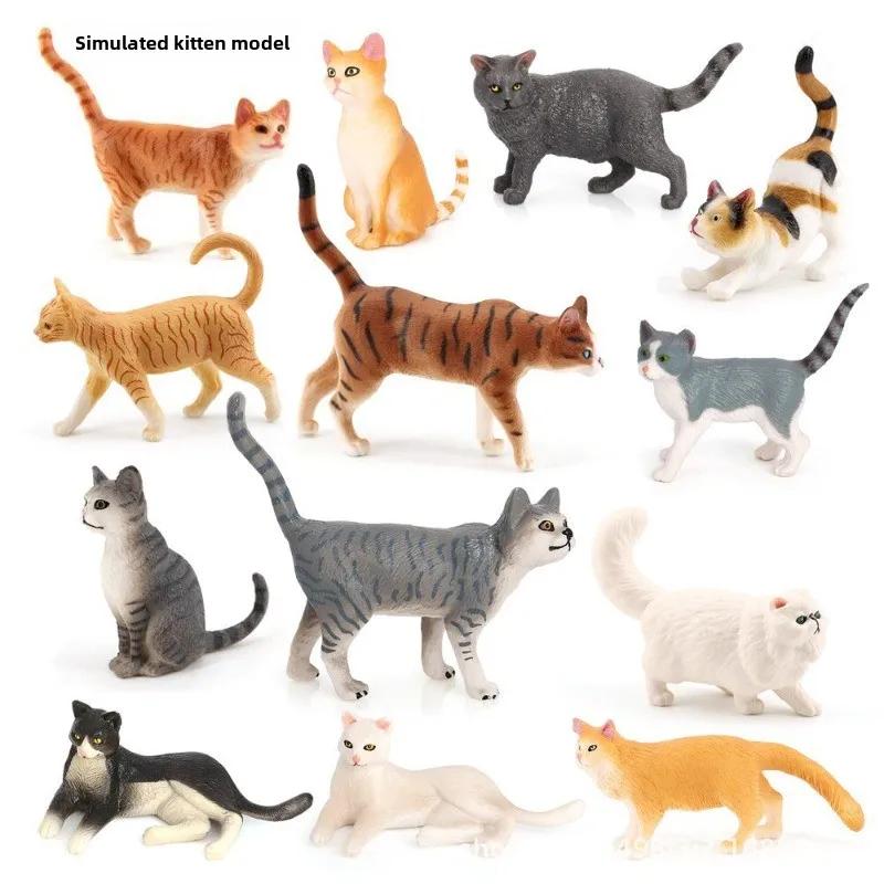 Norwegian Forest Cat (노르웨이 숲 고양이)