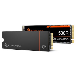 씨게이트 파이어쿠다 530R 히트싱크 SSD NVMe Pcle Gen4 4TB