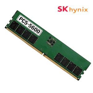 SK하이닉스 데스크탑 램 DDR5 16G 5600 44800 메모리 16GB, 1개