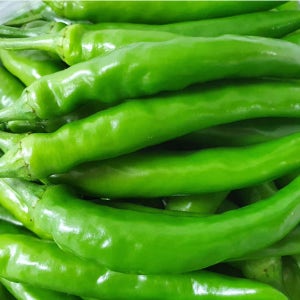 야채이야기 아삭이고추 2kg 오이고추