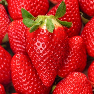 딸기 설향 겨울딸기 국내산딸기 킹스베리 350g 400g 700g 800g