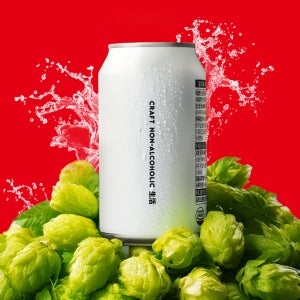 생활맥주 제로슈거 크래프트 논알콜 생활 페일에일 355ml X 12캔