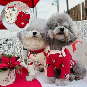 크리스마스 배색 레이스 포인트 해피 산타 내복 (S~2XL) 반려동물 강아지 고양이 겨울옷