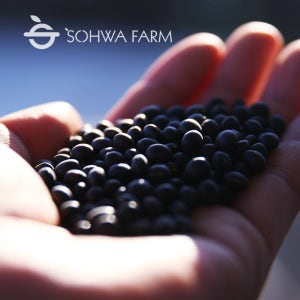 2025년 국산 소만콩 1kg 검은콩 검정콩