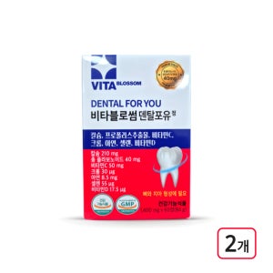 비타블로썸 덴탈포유 프로폴리스 잇몸 뼈건강 60정, 2개