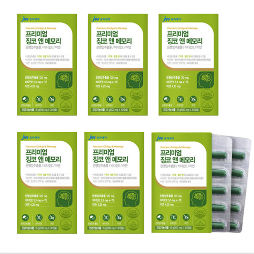 중외제약 징코 기억력 개선 프리미엄 혈액순환 혈행 영양제 은행잎추출물 대용량 약6개월분
