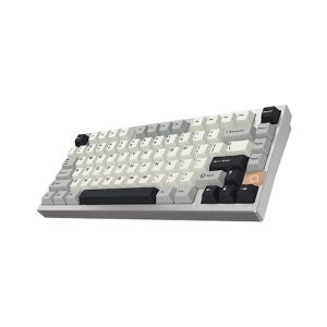 COX CA75 3모드 CNC 알루미늄 유무선 기계식 실버 (카라멜 커피 V1축)