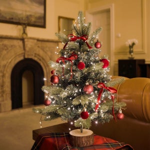 아키노프 미니트리 풀세트 벨벳레드 (60cm)