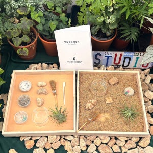 마음 정원 만들기 DIY 키트 힐링 식물 데스크테리어 아오난사 발포세라믹