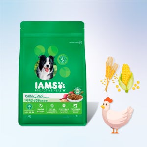 아이엠즈 독 강아지 건식 사료 1세이상 성견용, 1.5kg, 1개