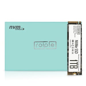 디오테라 ROIPLE Ray M.2 NVMe (1TB) TLC