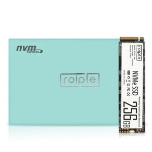 디오테라 ROIPLE Ray M.2 NVMe (256GB) TLC