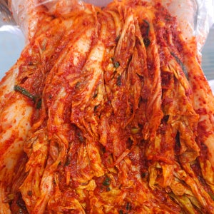 국내산 전라도 배추 포기김치 10kg 광주 가정식 김장주문