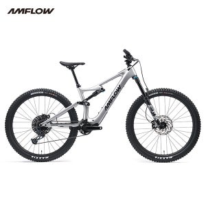 AMFLOW PL 카본 E-바이크 DJI 전기자전거