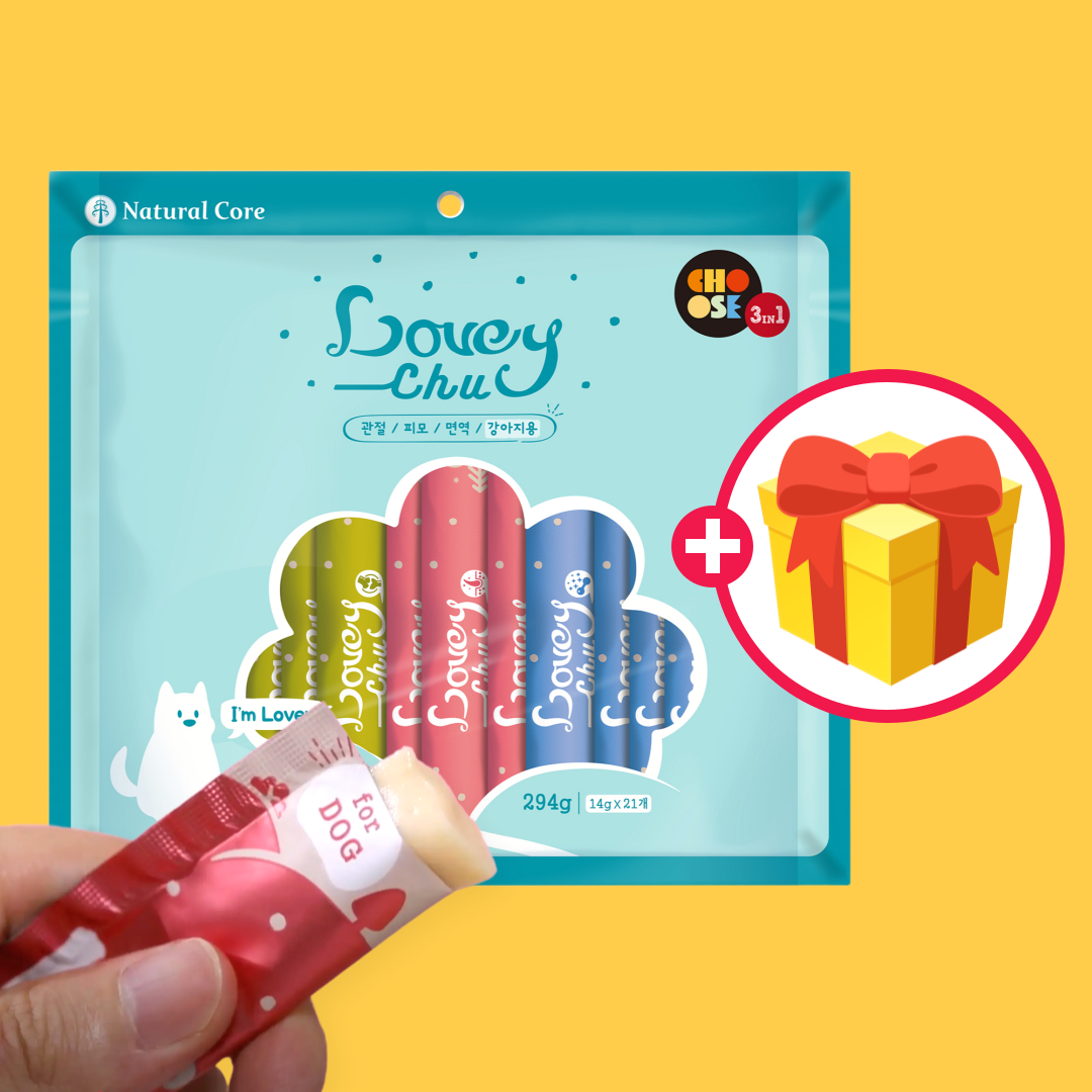 1+1 러비츄 멀티팩 21개입 췌장염 죽 닭 삼계죽 국 강아지 츄르 양갱 간식