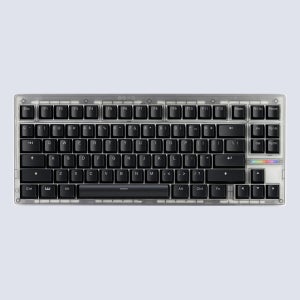 Wooting 우팅 80HE 게이밍 키보드 ANSI 모듈 PCR 플라스틱 프로스트-BK, Lekker V2 L60