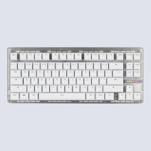 Wooting 우팅 80HE 게이밍 키보드 ANSI 모듈 PCR 플라스틱 프로스트-WH, Lekker V2 L60