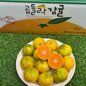 동아과일소 제주 타이벡 하우스 곱들락 감귤 가정용 조생귤 2kg 4kg