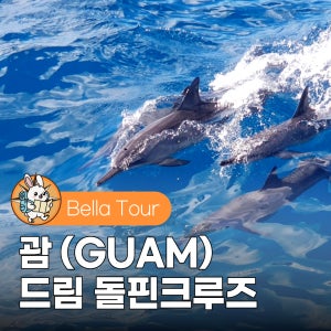 괌 돌핀크루즈 드림 돌핀왓칭 스노클링 선상낚시(슈퍼패스카드 제공)