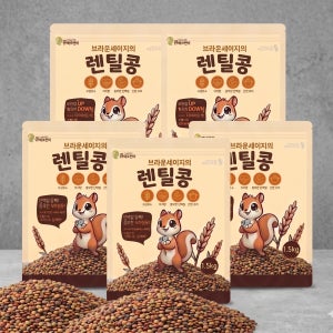 [통통잡곡] 2025년 캐나다산 브라운 렌틸콩 1.5kg, 5개