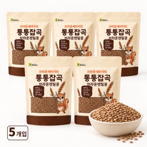 통통잡곡 2025년 캐나다산 브라운 렌틸콩 1.5kg, 5개