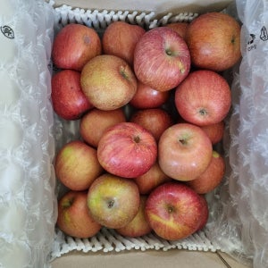 사과 청송 안동 김천 못난이 부사 꿀사과 5kg 10kg