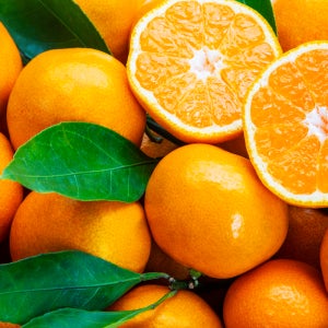 제주노지감귤 신품종 신비향 카라향 한라봉 천혜향 레드향 황금향 청희오렌지 윈터프린스 타이백 3kg, 5kg, 10kg