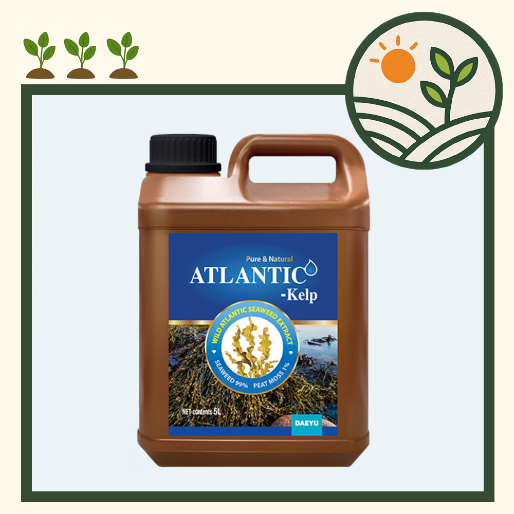 대유 아틀란틱<b>켈프</b> 5L 해조류추출물 99% 함유 미네랄 부스터