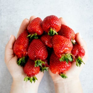 산지직송 상콤 신선 논산 설향딸기 한입과 / 로얄과