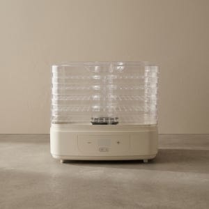 인썸 5단 가정용 식품건조기 야채 과일 고추건조기 음식 간식 IFD-1