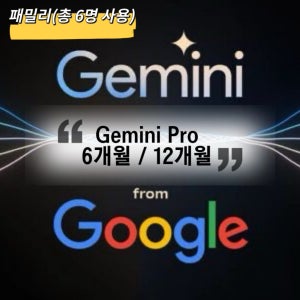 제미나이 프로/6명 2TB 1000크레딧 Gemini Pro 구글AI 6개월/1년 구독권