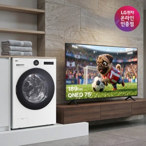 LG 트롬 오브제컬렉션 워시콤보 + LG QNED AI TV 세트 (FH25WA + 75QNED75AEA)