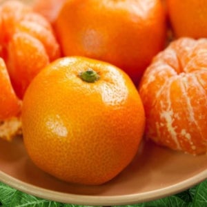 귤 10키로 5kg 10kg 쥬스용 제주 노지 재주 달달한 꼬마 못난이 귤 감귤 선물