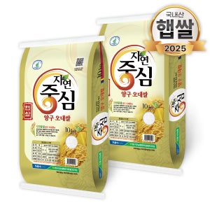 25년 양구농협 오대쌀 단일품종 백미 10kg, 2개