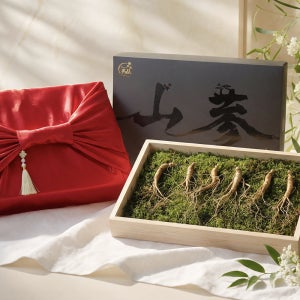 강녕산삼 강원도 산양삼 장뇌삼 산양산삼 5~6년근 5뿌리