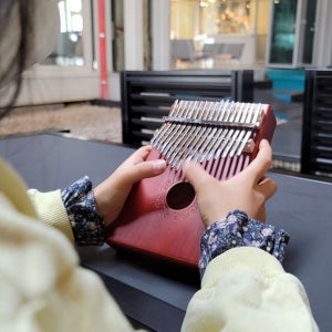 연주용 17 음계 칼림바 초보자 마호가니 칼림바 휴대용 입문용 악기