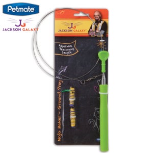 잭슨갤럭시 캣장난감-그라운드프레이완드