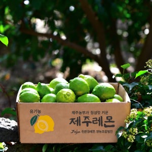 유기농 제주레몬 10kg, 1개
