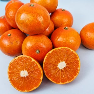 제주 홍미향 레드귤 빨간귤 홍귤 벌크형 선물용 2.5kg