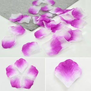 축하합니다 플라워샤워 컨페티 화이트퍼플 조화꽃잎 꽃가루 웨딩 프로포즈 이벤트